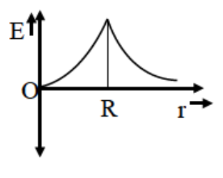 Option D