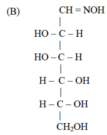 Option B