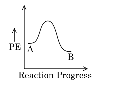 Option B