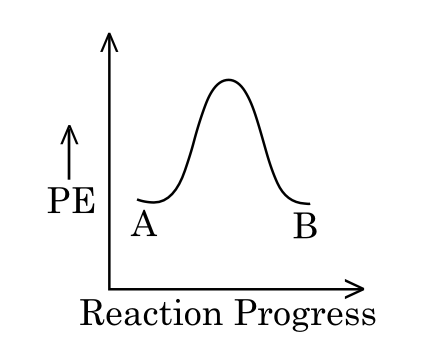 Option C