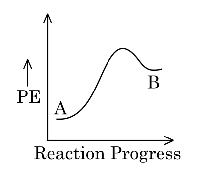 Option D