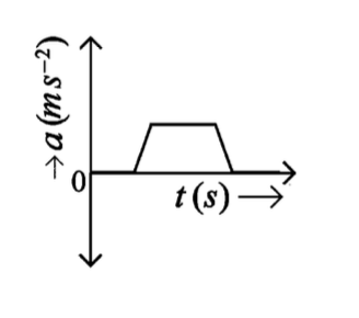 Option C