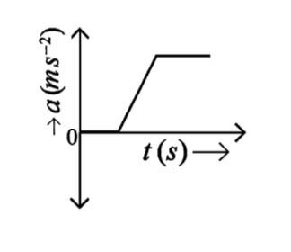 Option D
