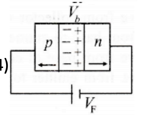 Option D