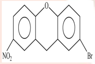 Option C