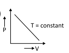 Option B