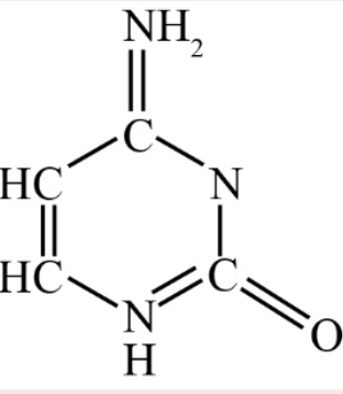 Option B