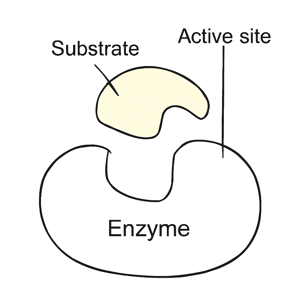 Question diagram