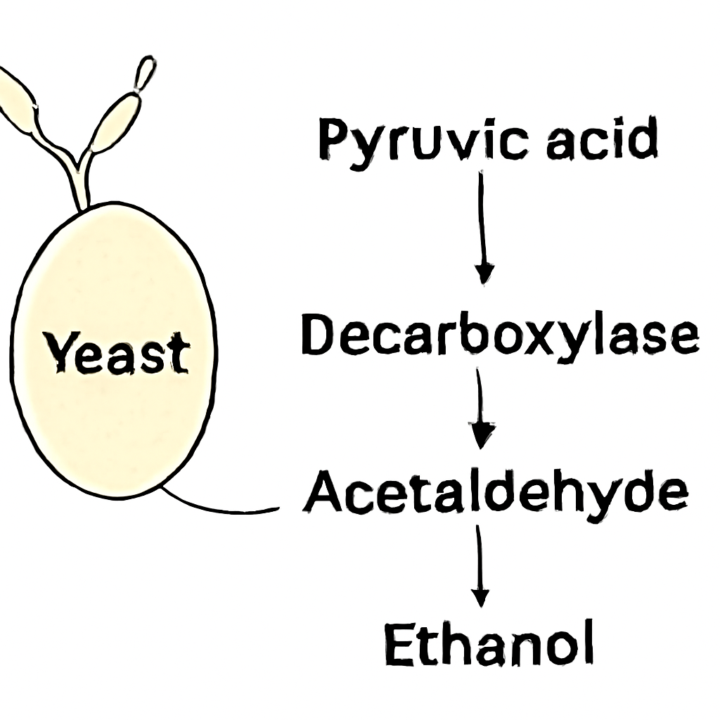 Question diagram