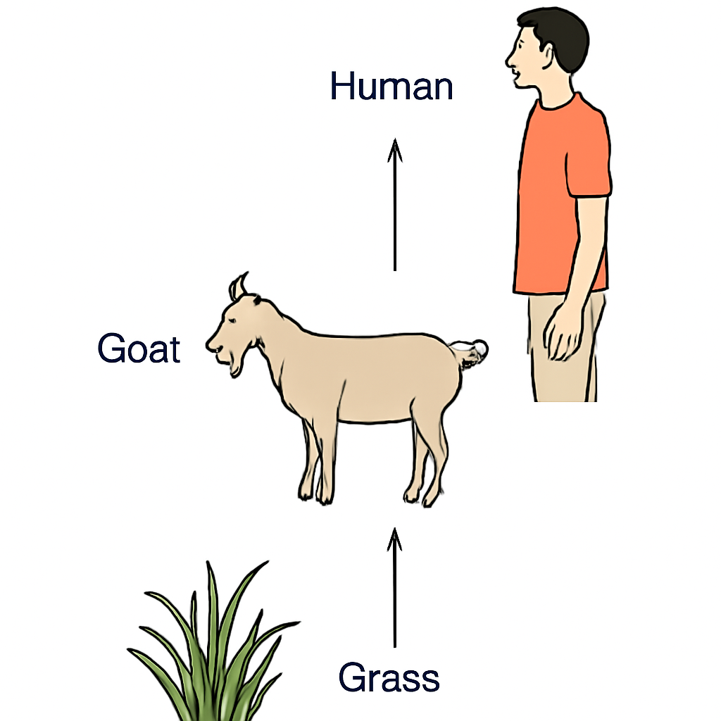Question diagram