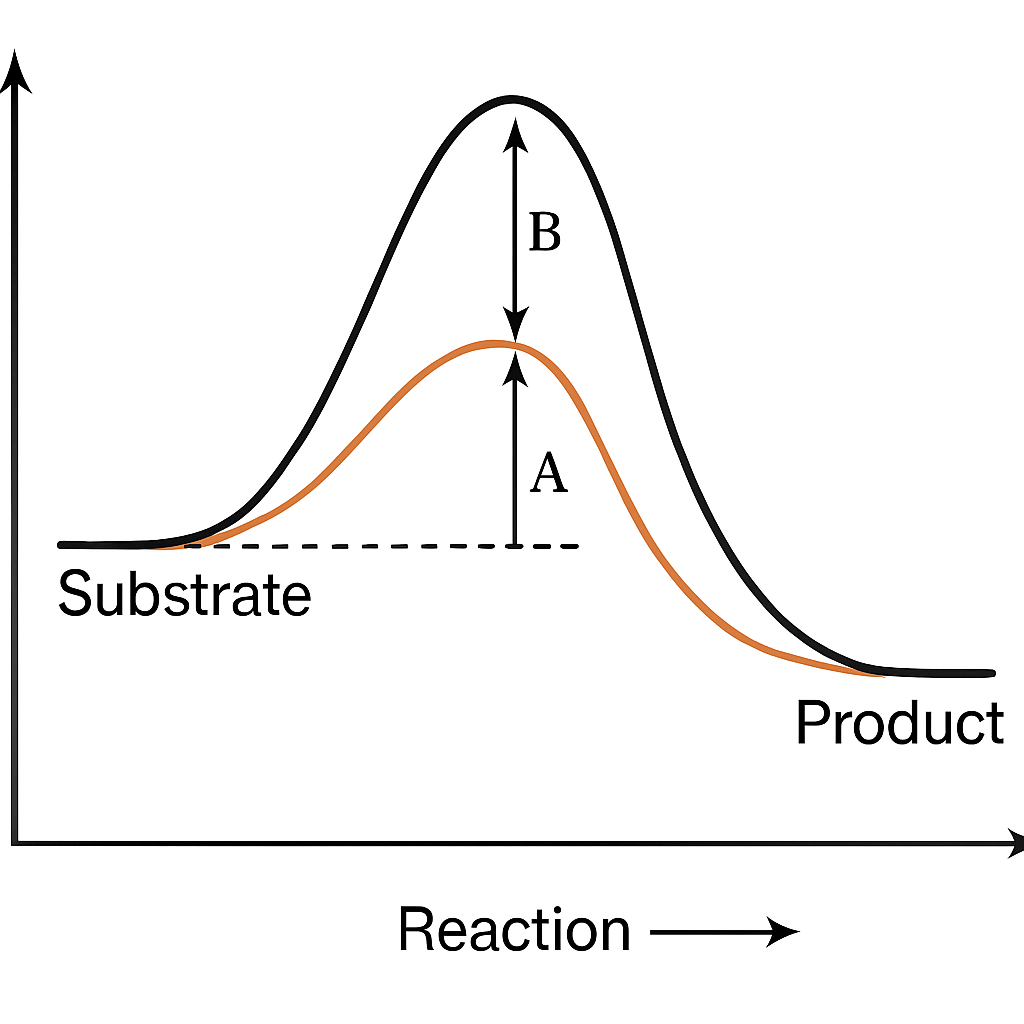 Question diagram