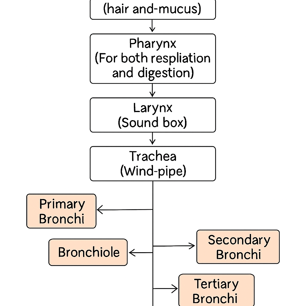 Question diagram