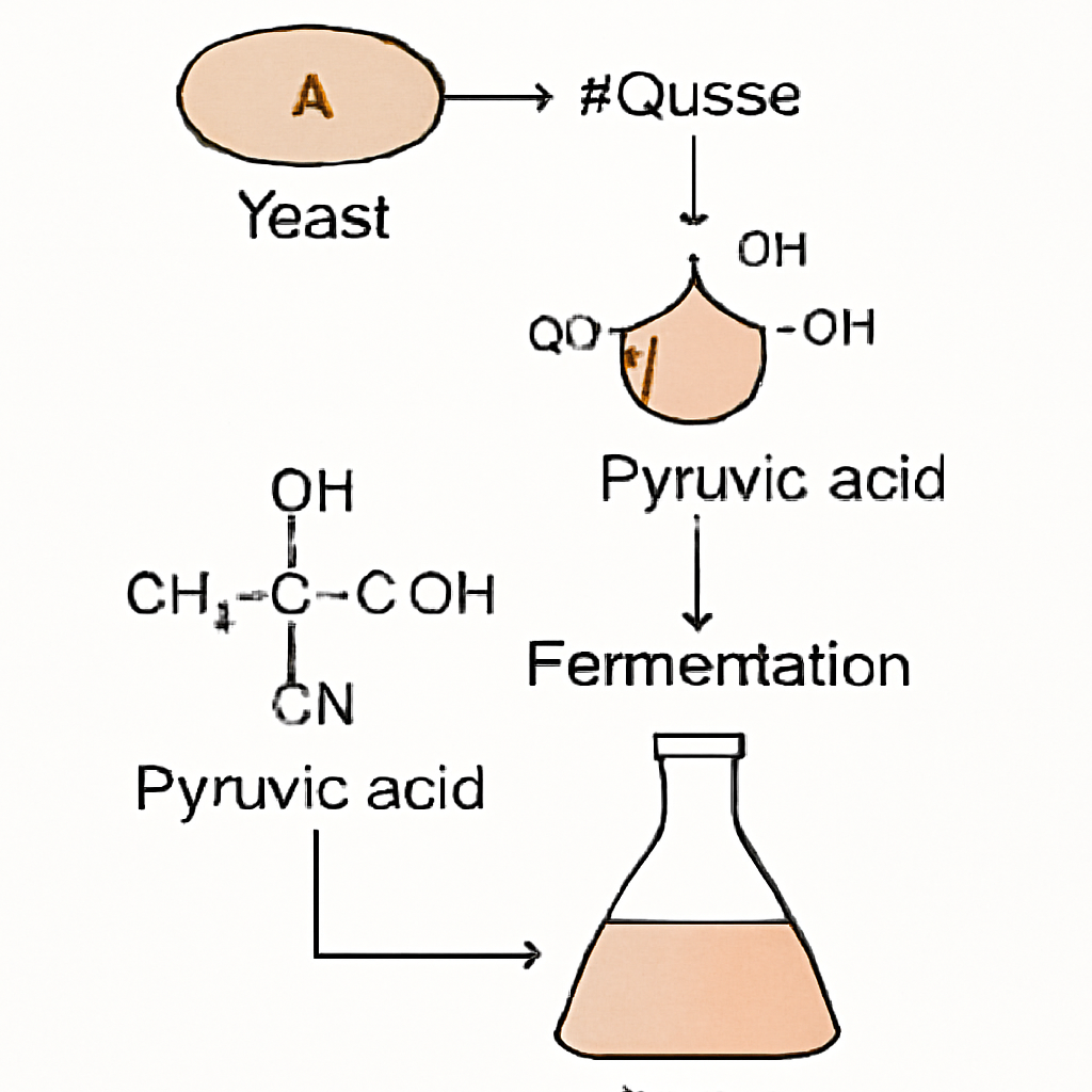 Question diagram