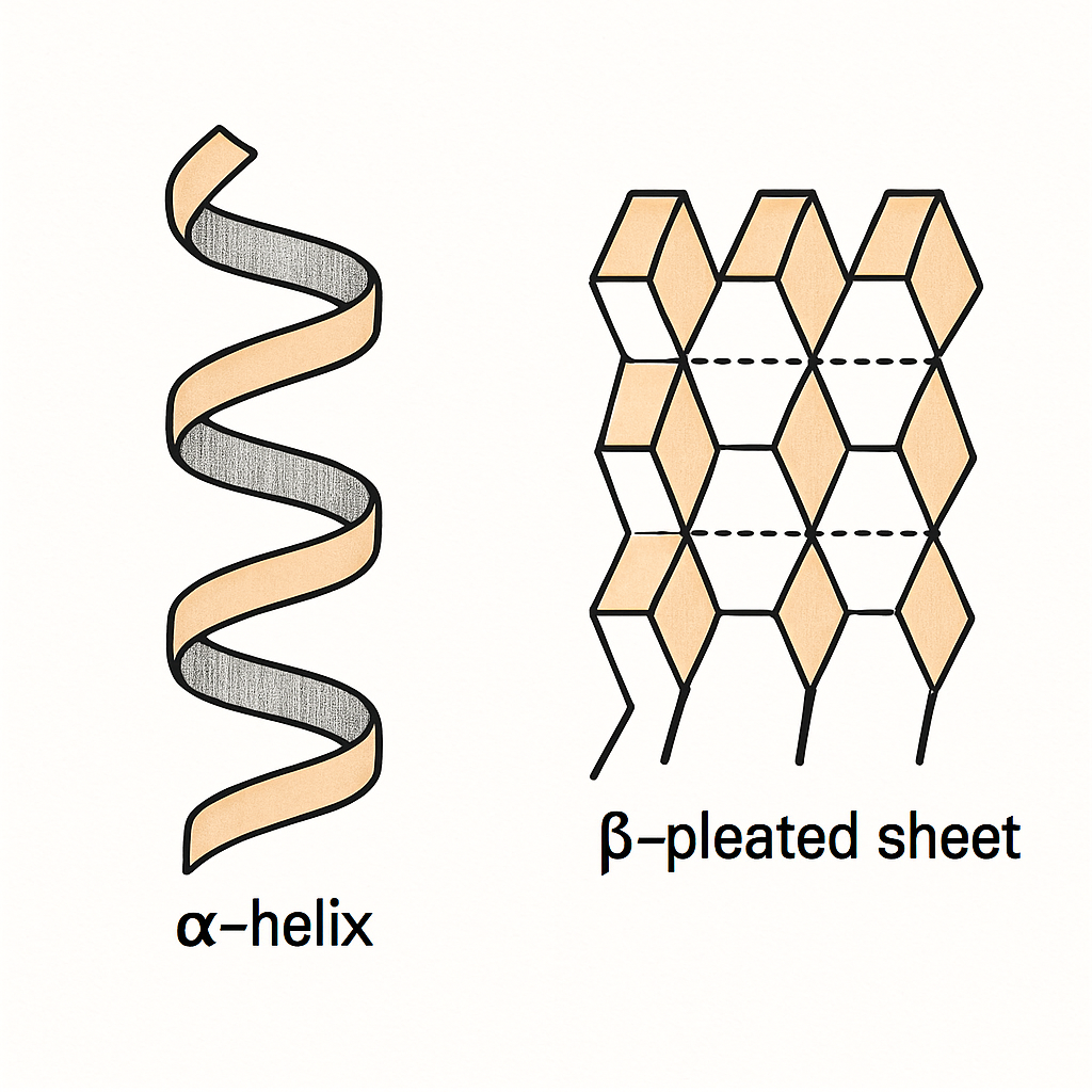 Question diagram