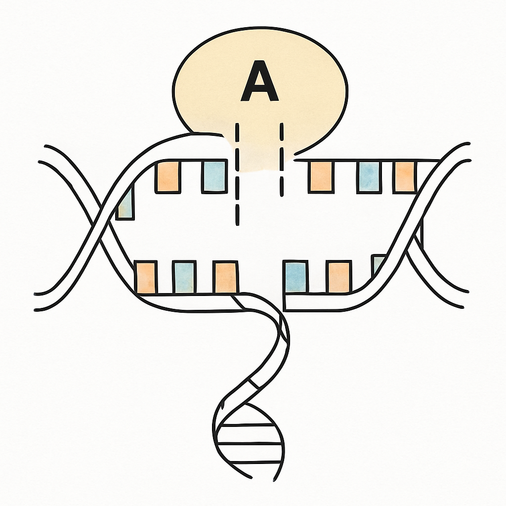 Question diagram