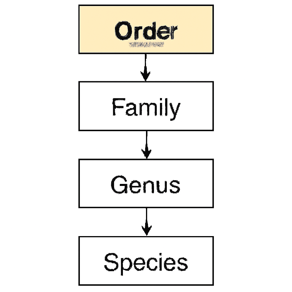 Question diagram