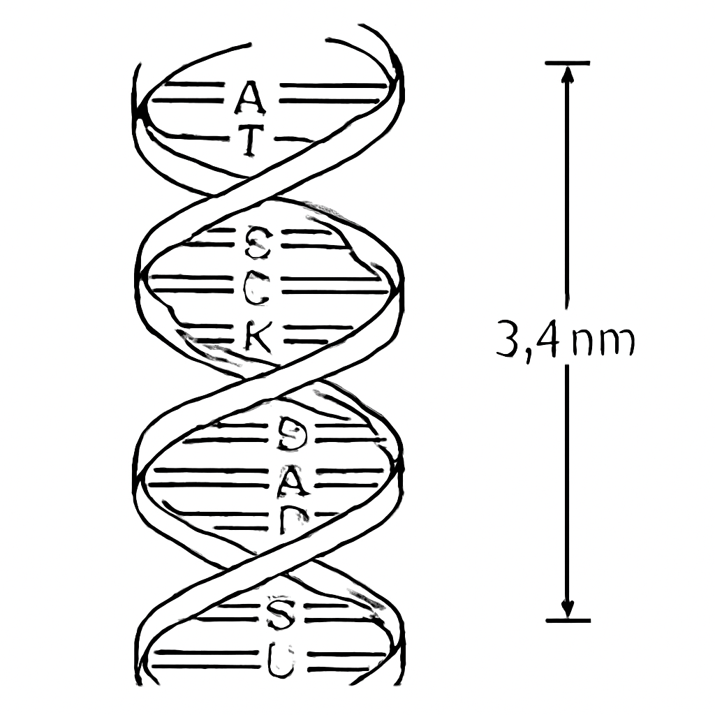Question diagram