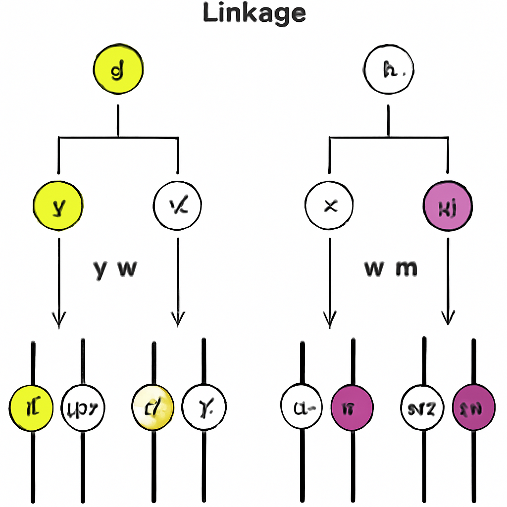 Question diagram