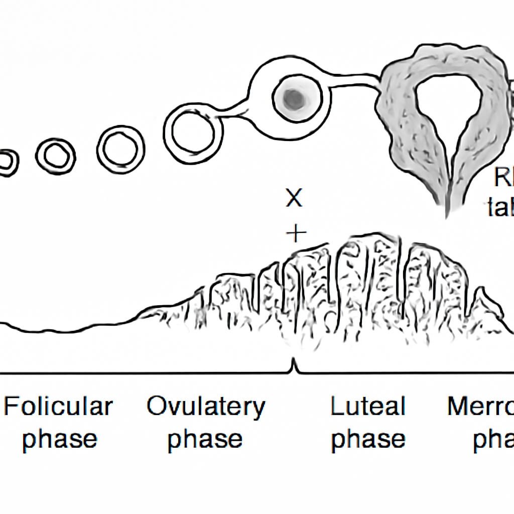 Question diagram