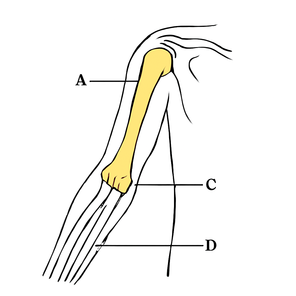Question diagram