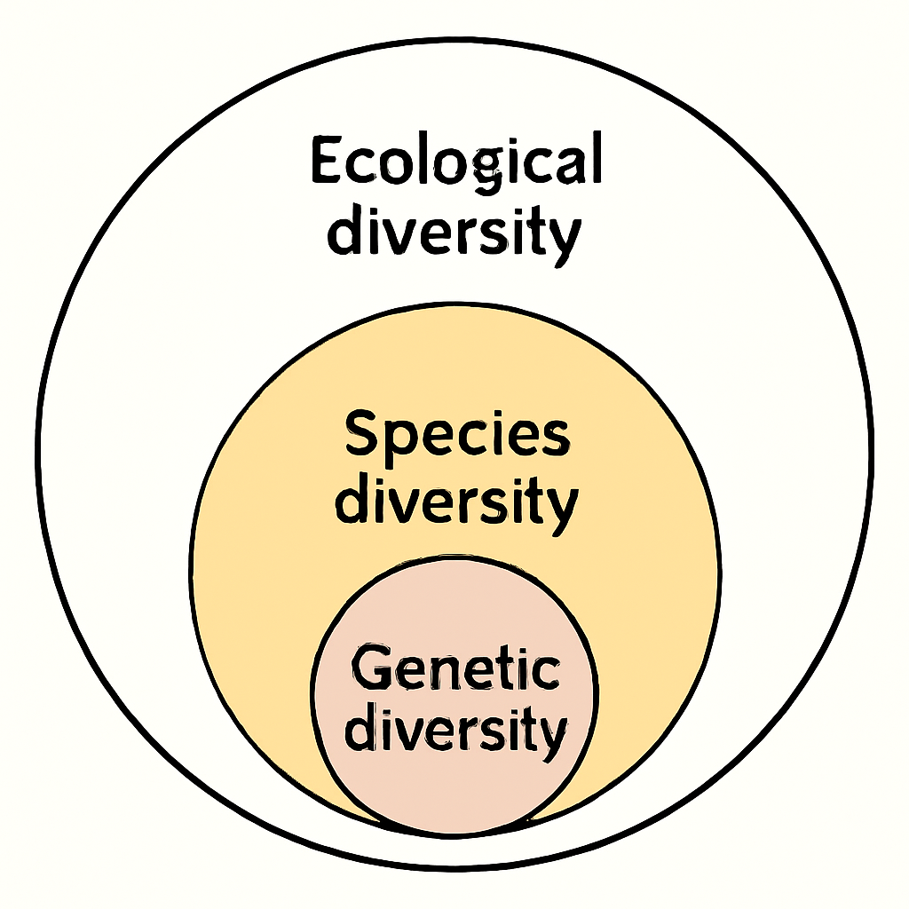 Question diagram