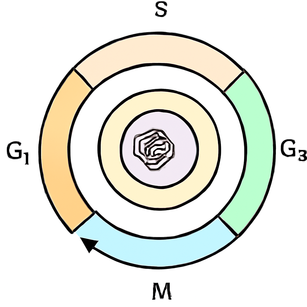 Question diagram