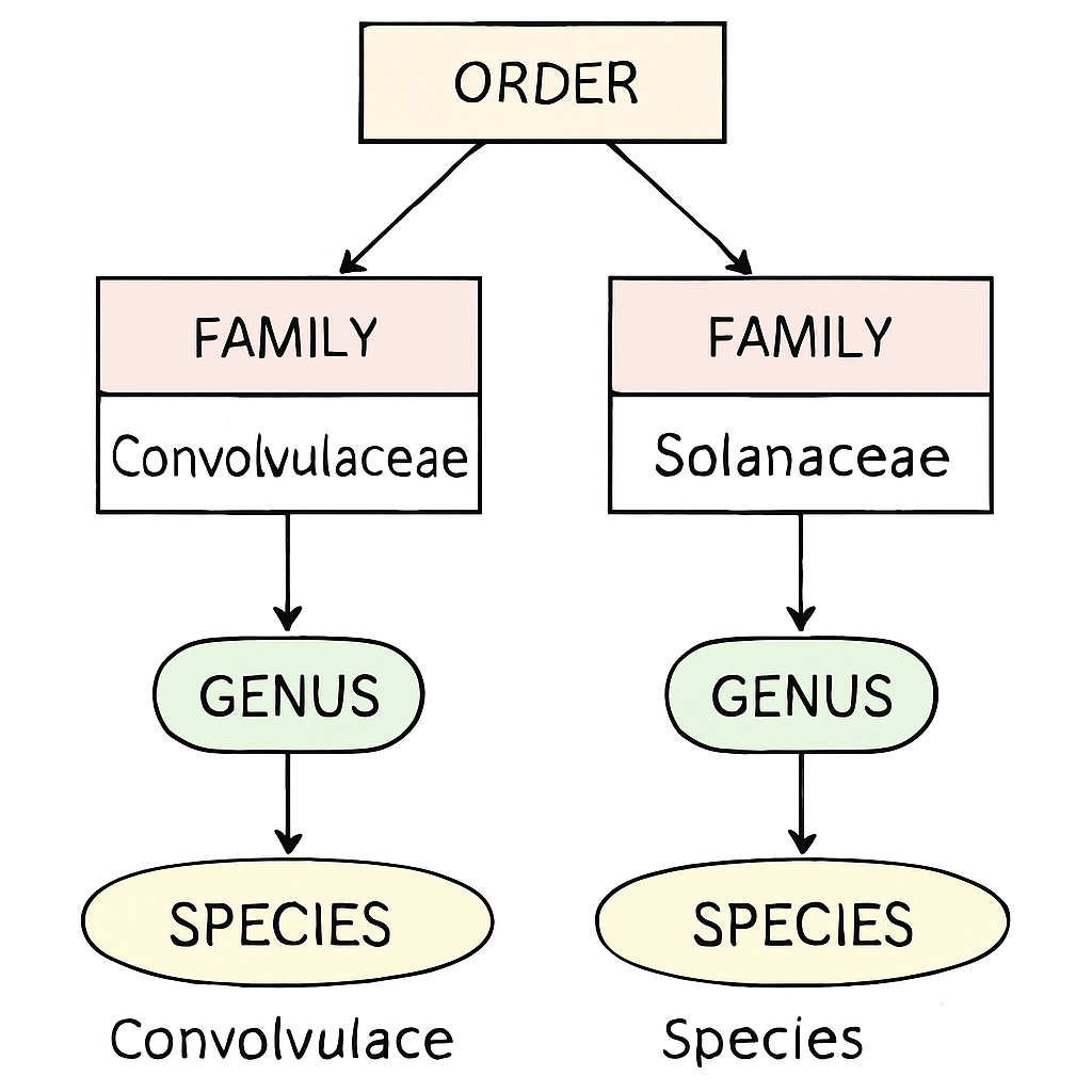 Question diagram