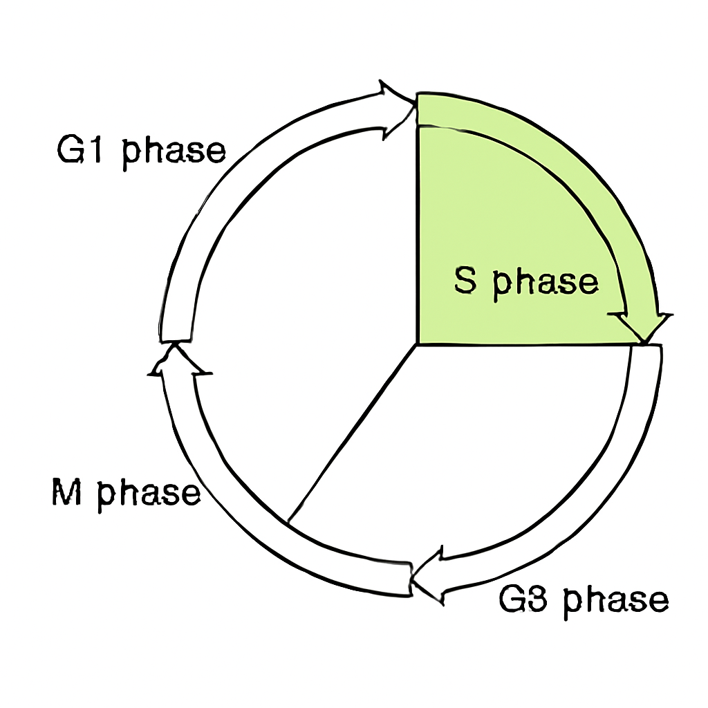 Question diagram