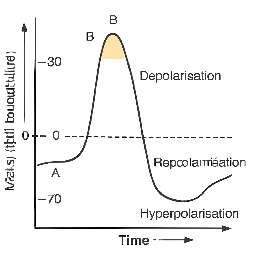 Question diagram