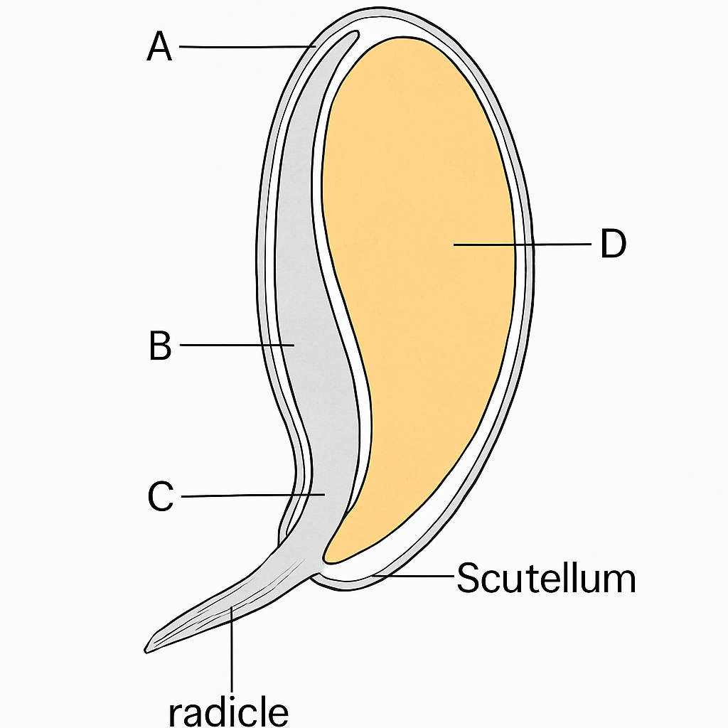Question diagram