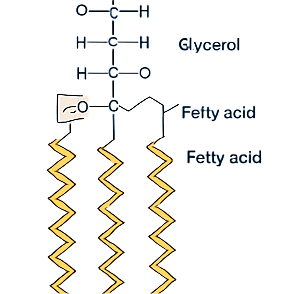 Question diagram
