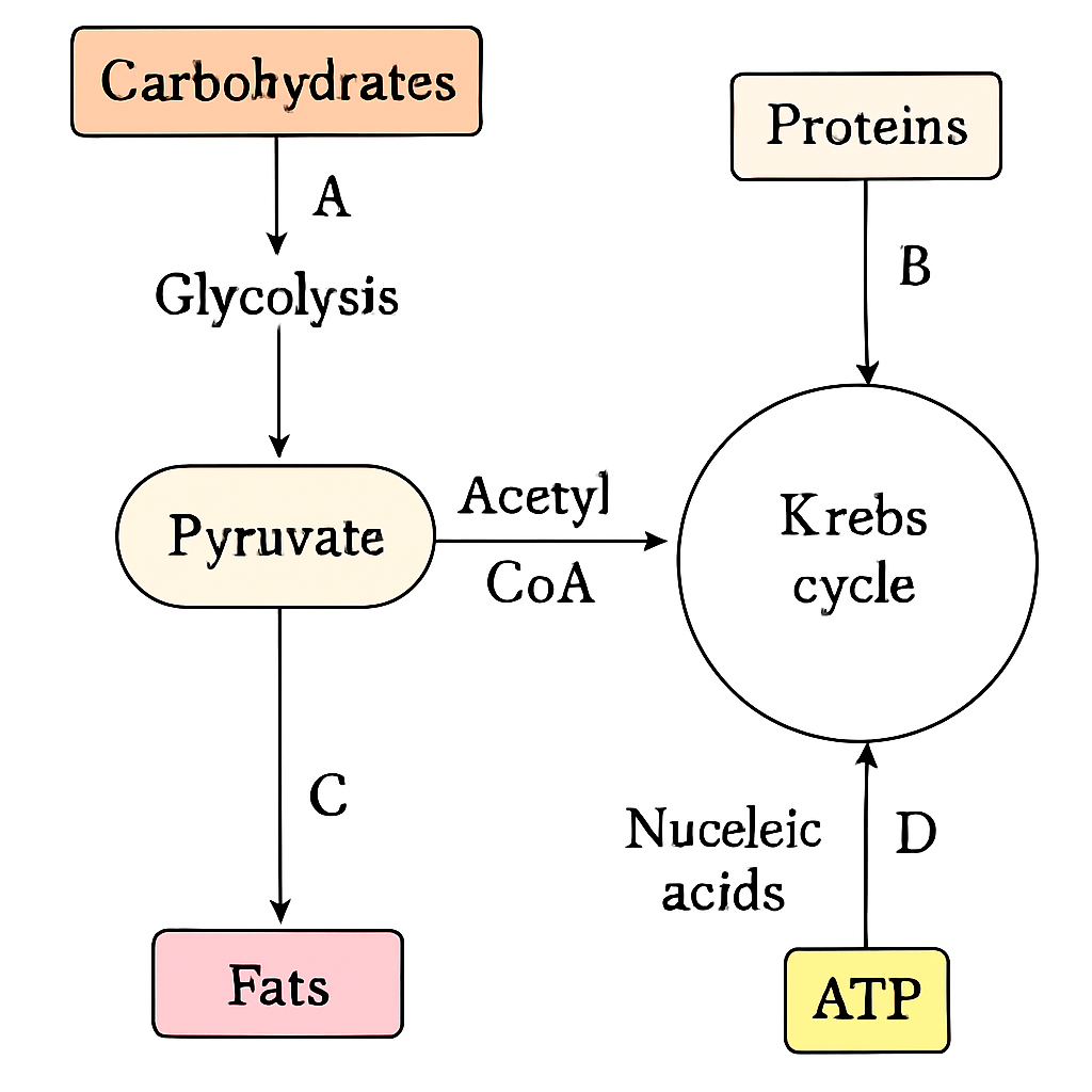 Question diagram