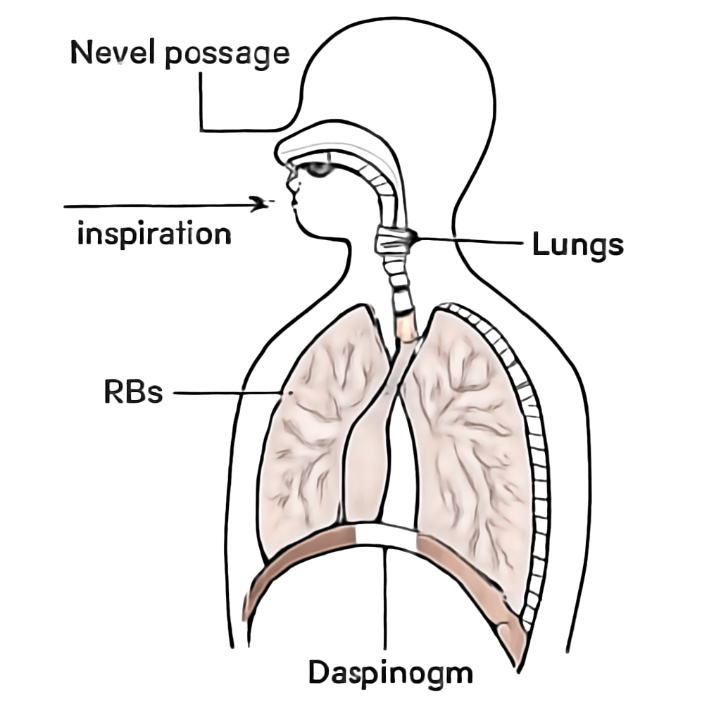 Question diagram