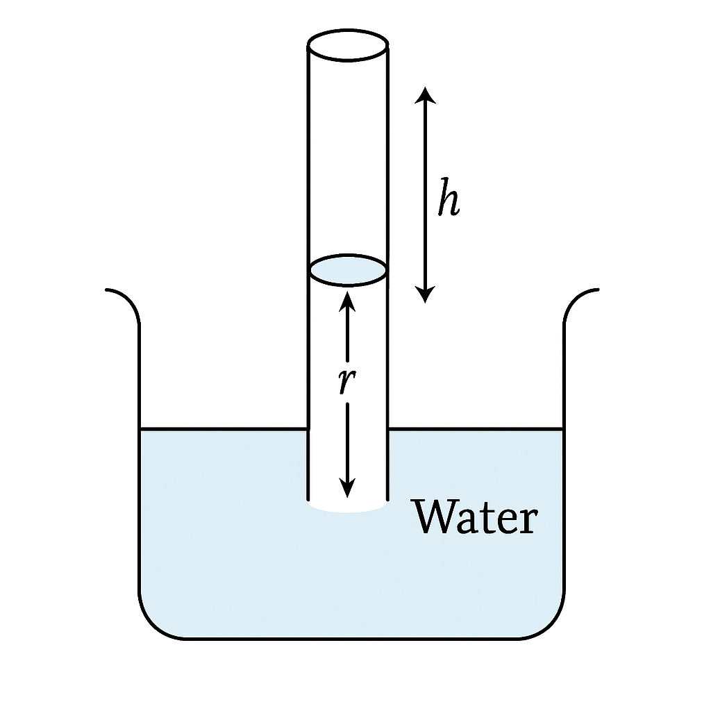 Question diagram